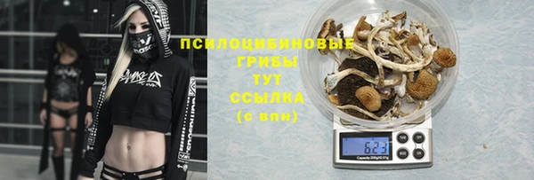 молекула духа Корсаков