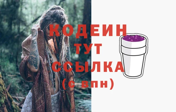 ГАЛЛЮЦИНОГЕННЫЕ ГРИБЫ Краснослободск