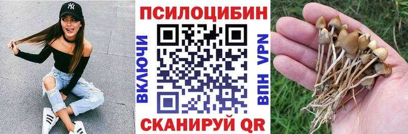 shop как зайти Березники Псилоцибиновые грибы мицелий купить цена