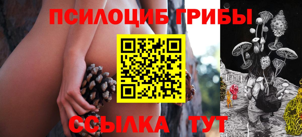 Березники  Галлюциногенные грибы Psilocybine cubensis  Галлюциногенные грибы Cubensis  Вход с VPN 