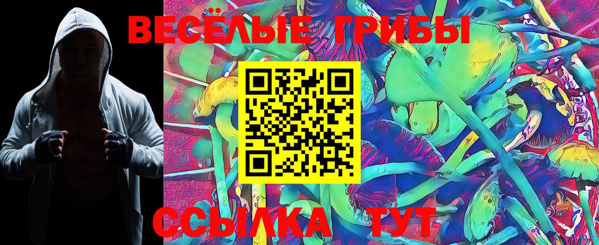 Псилоцибиновые грибы прущие грибы  Березники 